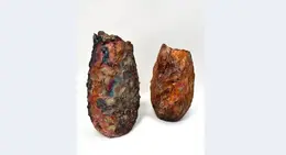 a couple of objects on a white background
