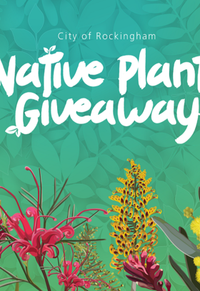 Native-Plant-Giveaway-Image.png