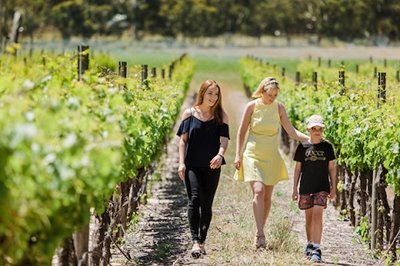 Family walking through Karnup vineyards