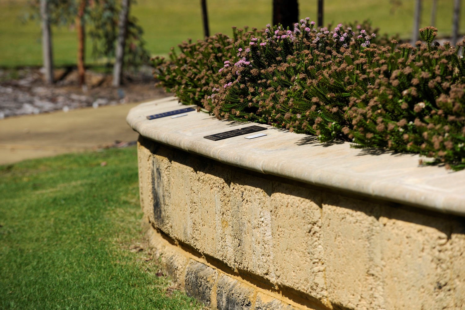 Rockingham-Regional-Memorial-Park