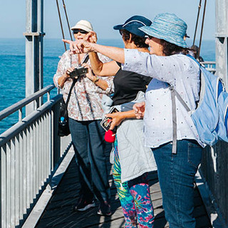 A group of seniors standing on a lookout at Point Peron, overlooking the ocean and rocky coastline.