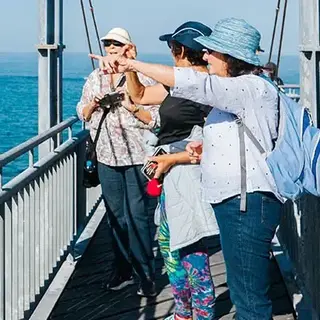 A group of seniors standing on a lookout at Point Peron, overlooking the ocean and rocky coastline.
