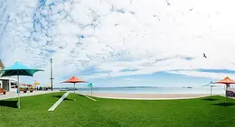 a beach with umbrellas and a body of water
