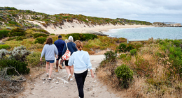 a group of people walking on a path near a beach