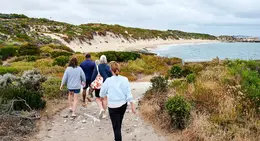 a group of people walking on a path near a beach