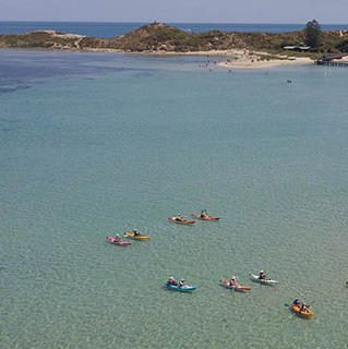 a group of people in kayaks in the water