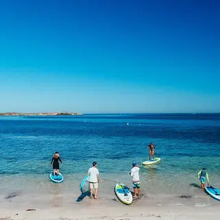 a group of people on surfboards on a beach