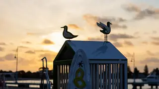 two birds on top of a structure