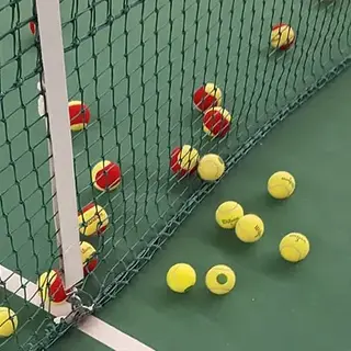 a group of tennis balls in a net