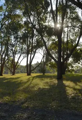 Karnup.jpg