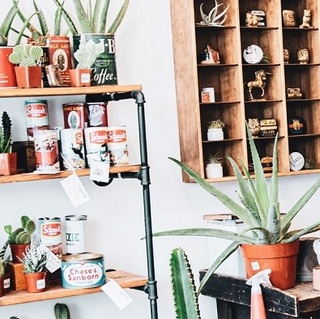 a room with clothes and plants