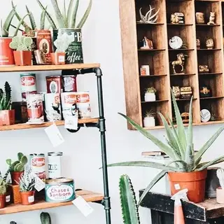a room with clothes and plants