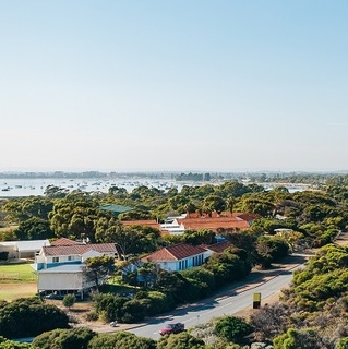 a body of water with bushes and trees