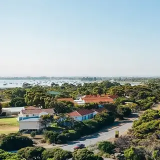 a body of water with bushes and trees