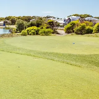 a golf cart on a golf course