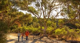 a group of people walking on a dirt road