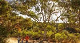 a group of people walking on a dirt road