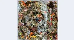 a square of colorful paint