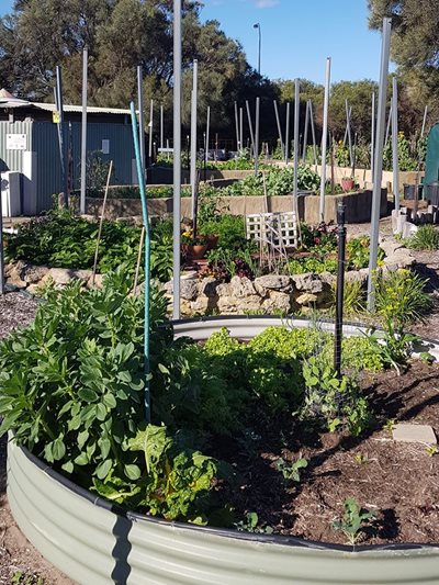 Naragebup Community Garden