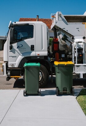 Bin-Collection-2.jpg