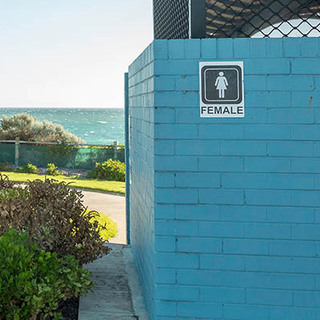 a garden with a fence and a body of water