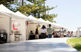 a group of people walking in a line