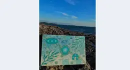 a painting on a rocky beach