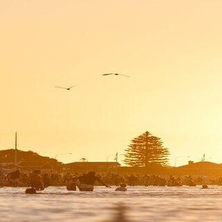 a group of people in the water